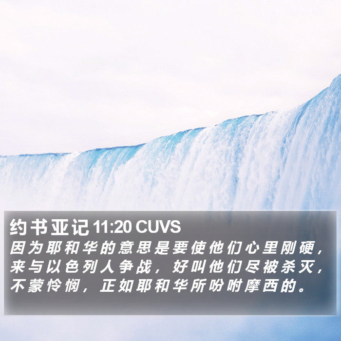 约 书 亚 记 11:20 CUVS Bible Study