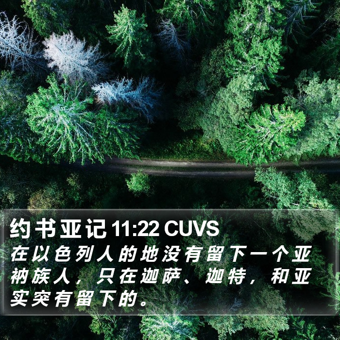 约 书 亚 记 11:22 CUVS Bible Study