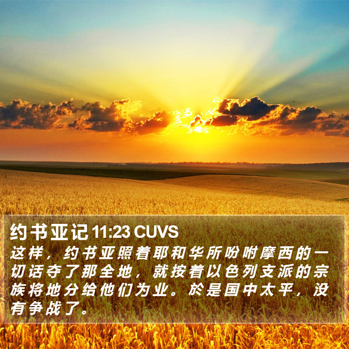 约 书 亚 记 11:23 CUVS Bible Study