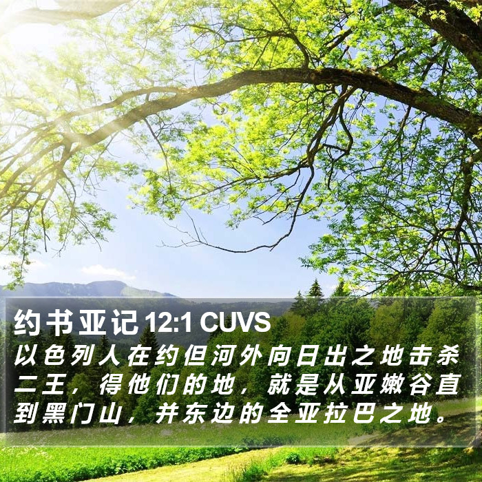 约 书 亚 记 12:1 CUVS Bible Study