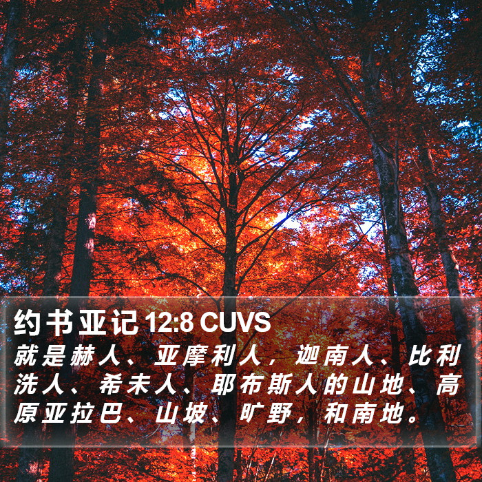 约 书 亚 记 12:8 CUVS Bible Study