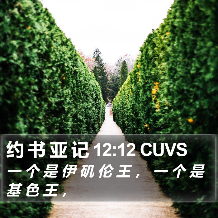 约 书 亚 记 12:12 CUVS Bible Study