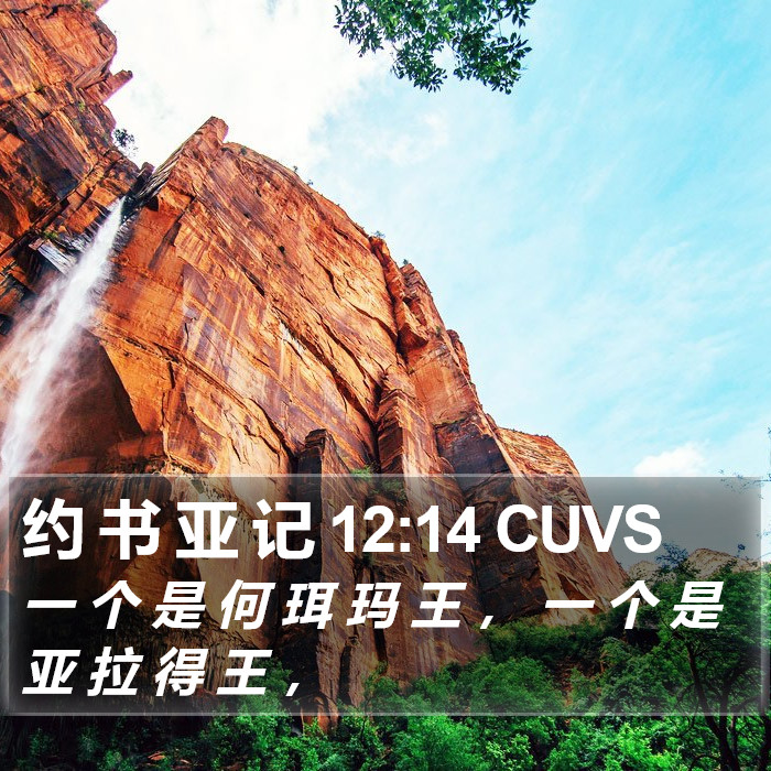 约 书 亚 记 12:14 CUVS Bible Study