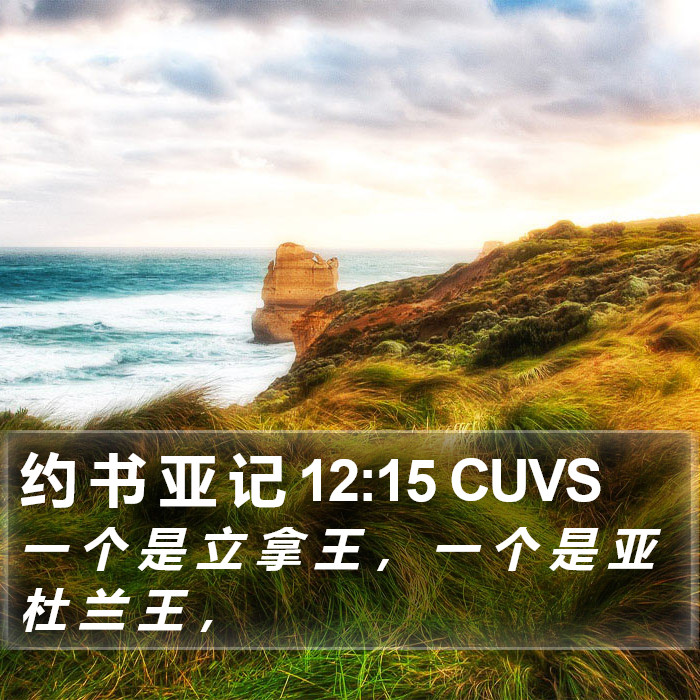 约 书 亚 记 12:15 CUVS Bible Study