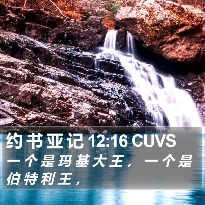 约 书 亚 记 12:16 CUVS Bible Study