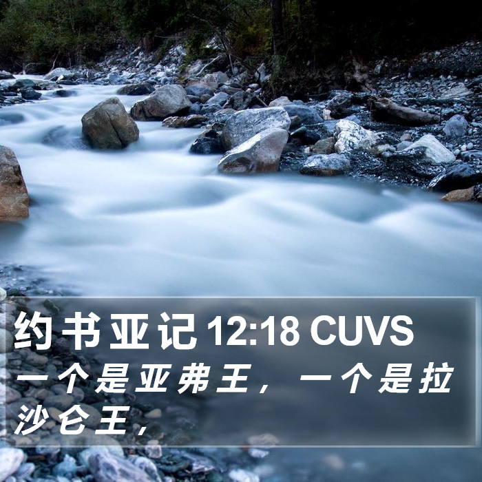 约 书 亚 记 12:18 CUVS Bible Study