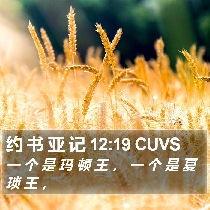 约 书 亚 记 12:19 CUVS Bible Study