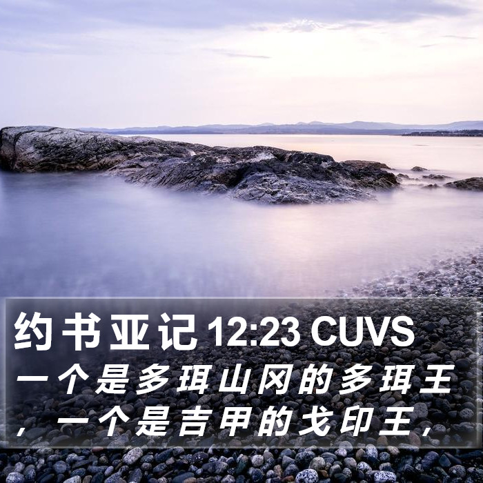 约 书 亚 记 12:23 CUVS Bible Study