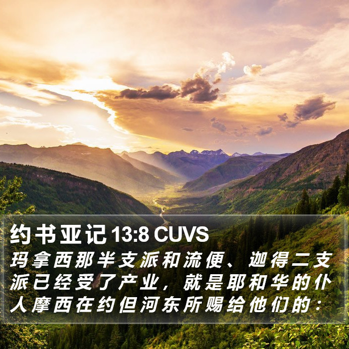 约 书 亚 记 13:8 CUVS Bible Study