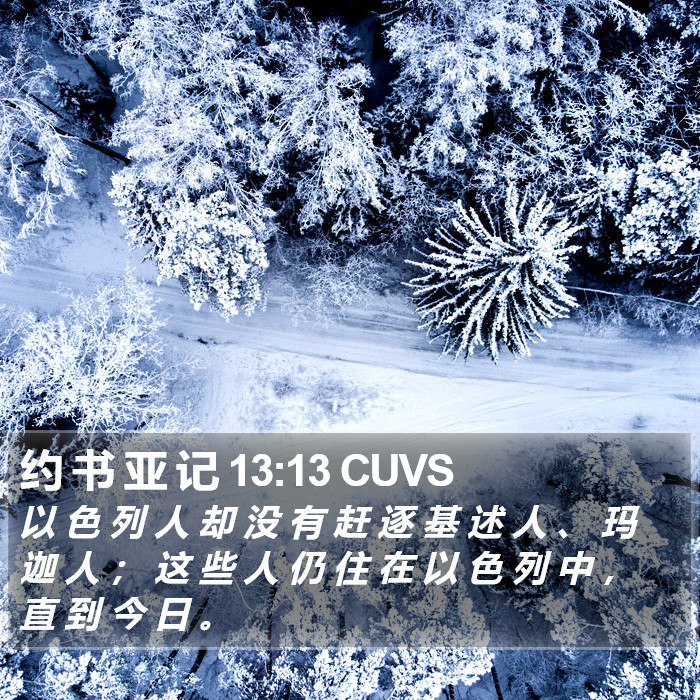 约 书 亚 记 13:13 CUVS Bible Study