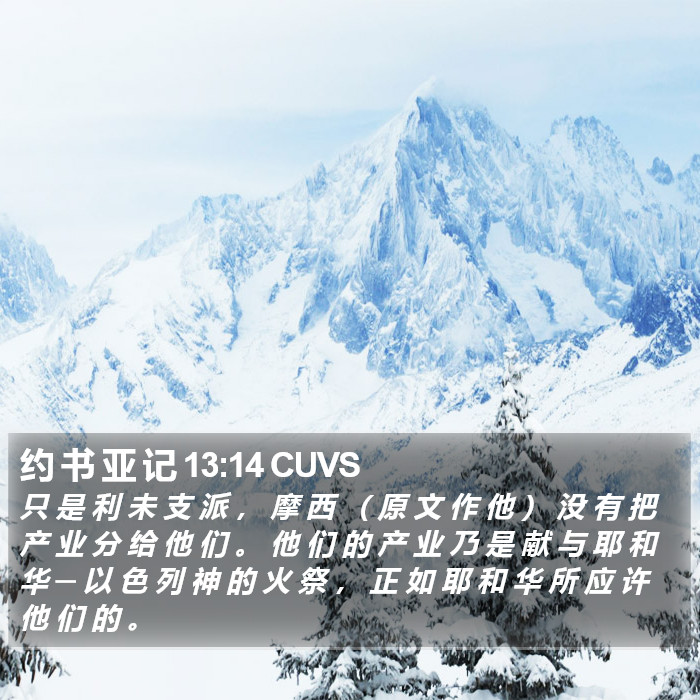 约 书 亚 记 13:14 CUVS Bible Study