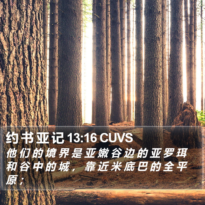 约 书 亚 记 13:16 CUVS Bible Study