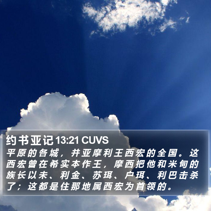 约 书 亚 记 13:21 CUVS Bible Study