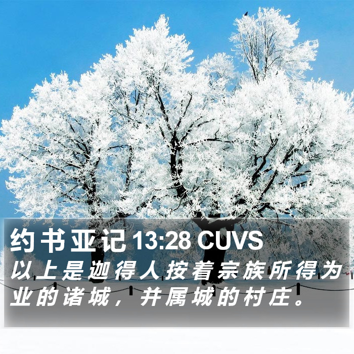 约 书 亚 记 13:28 CUVS Bible Study