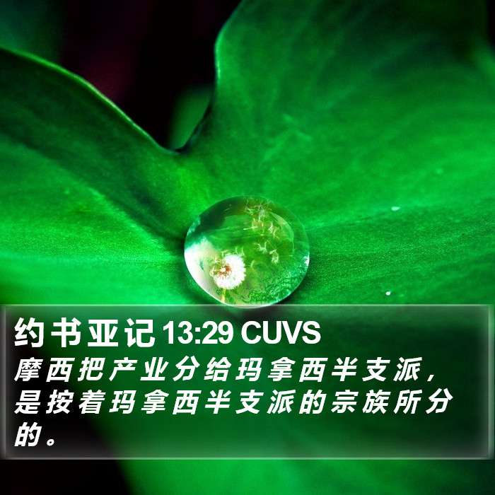 约 书 亚 记 13:29 CUVS Bible Study