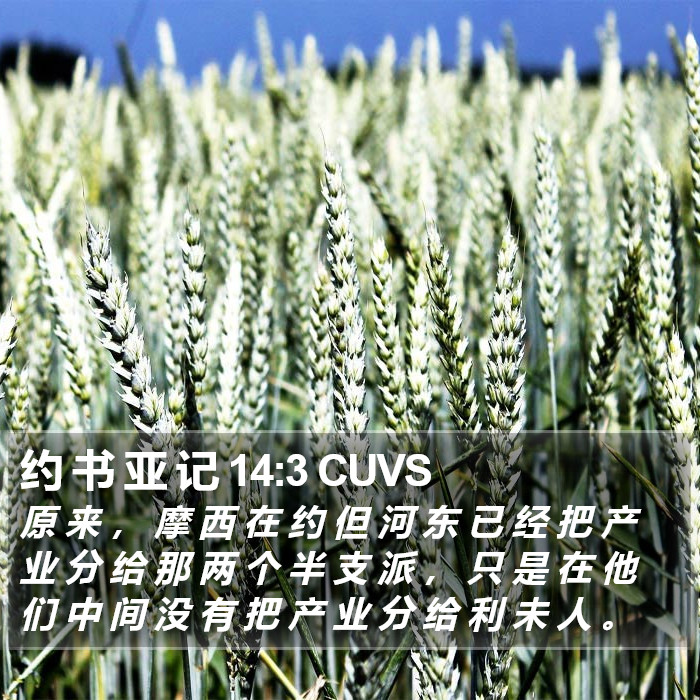 约 书 亚 记 14:3 CUVS Bible Study