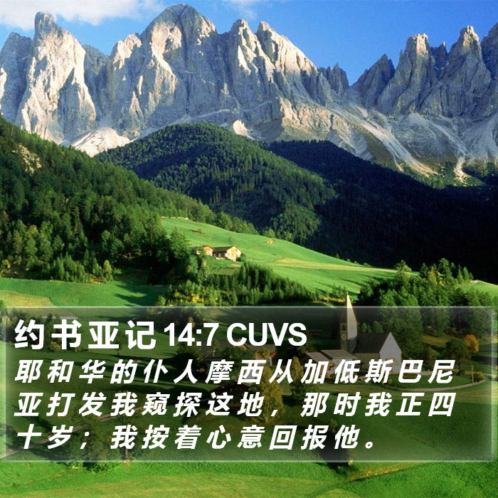 约 书 亚 记 14:7 CUVS Bible Study