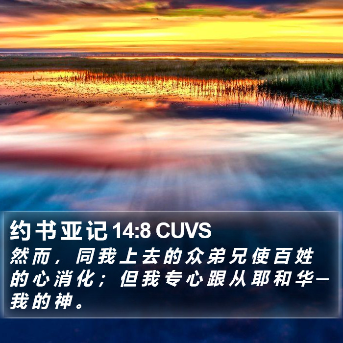 约 书 亚 记 14:8 CUVS Bible Study