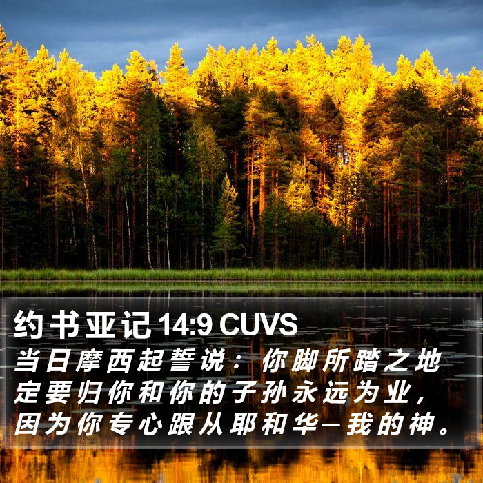 约 书 亚 记 14:9 CUVS Bible Study