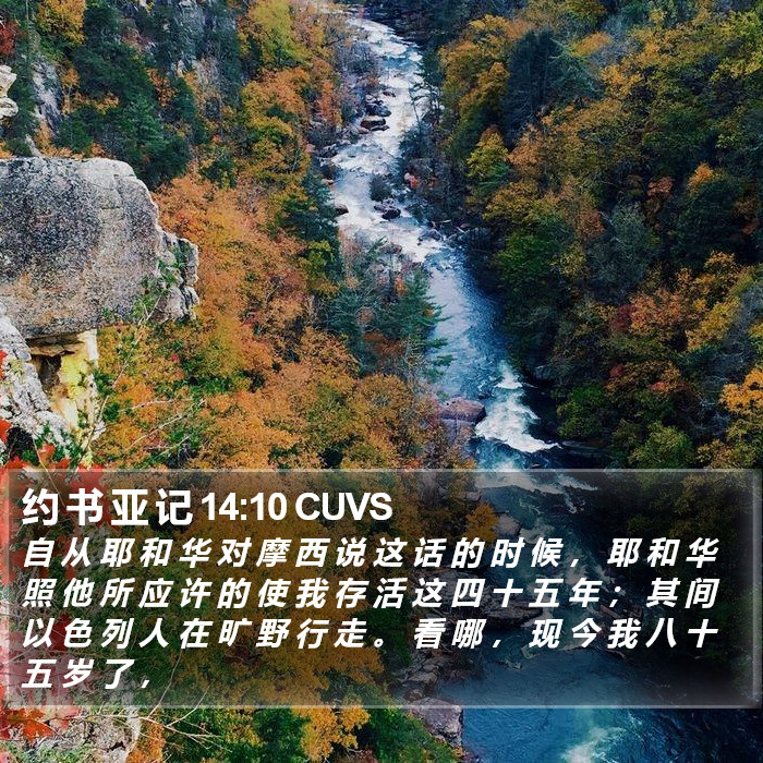 约 书 亚 记 14:10 CUVS Bible Study