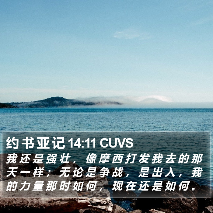 约 书 亚 记 14:11 CUVS Bible Study