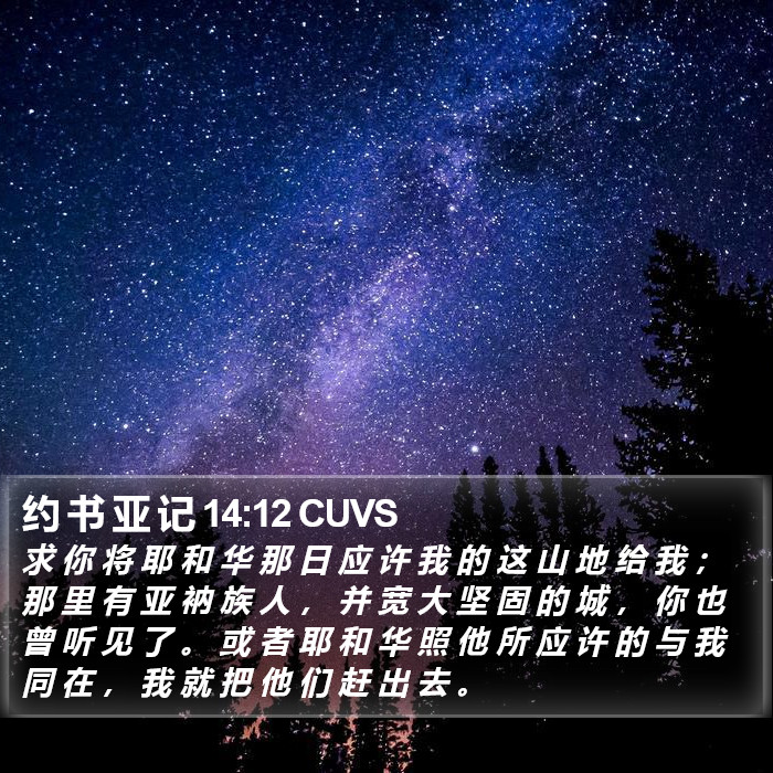 约 书 亚 记 14:12 CUVS Bible Study