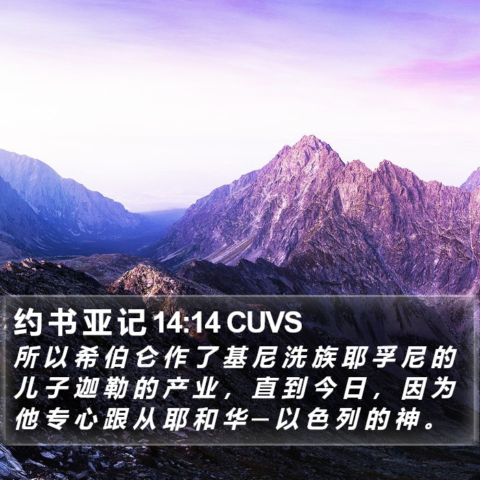 约 书 亚 记 14:14 CUVS Bible Study