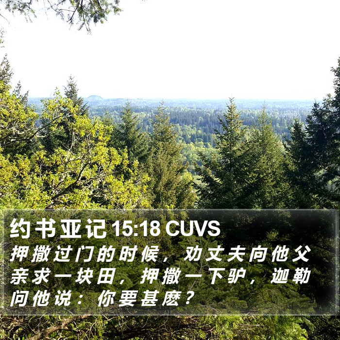 约 书 亚 记 15:18 CUVS Bible Study