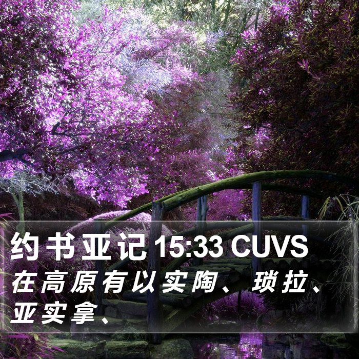 约 书 亚 记 15:33 CUVS Bible Study