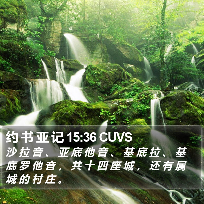 约 书 亚 记 15:36 CUVS Bible Study