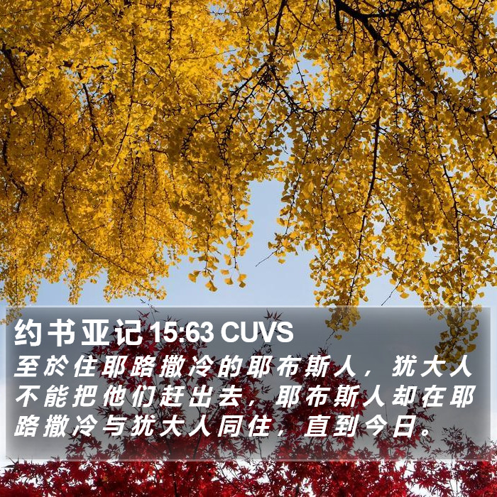 约 书 亚 记 15:63 CUVS Bible Study