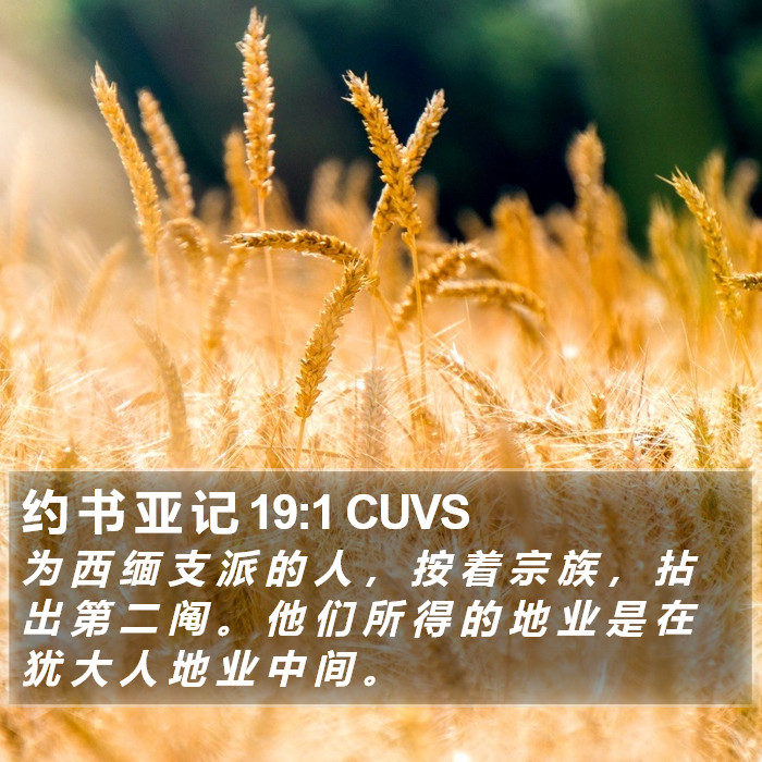 约 书 亚 记 19:1 CUVS Bible Study
