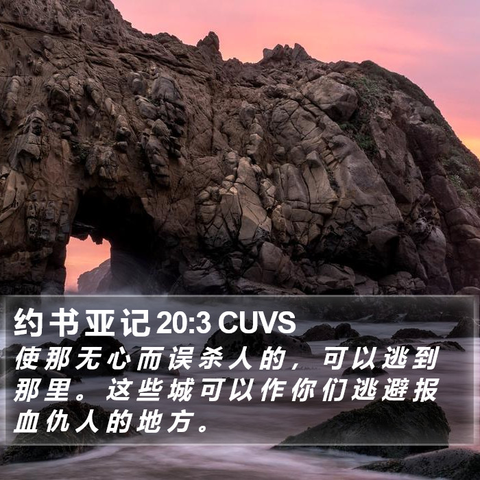 约 书 亚 记 20:3 CUVS Bible Study