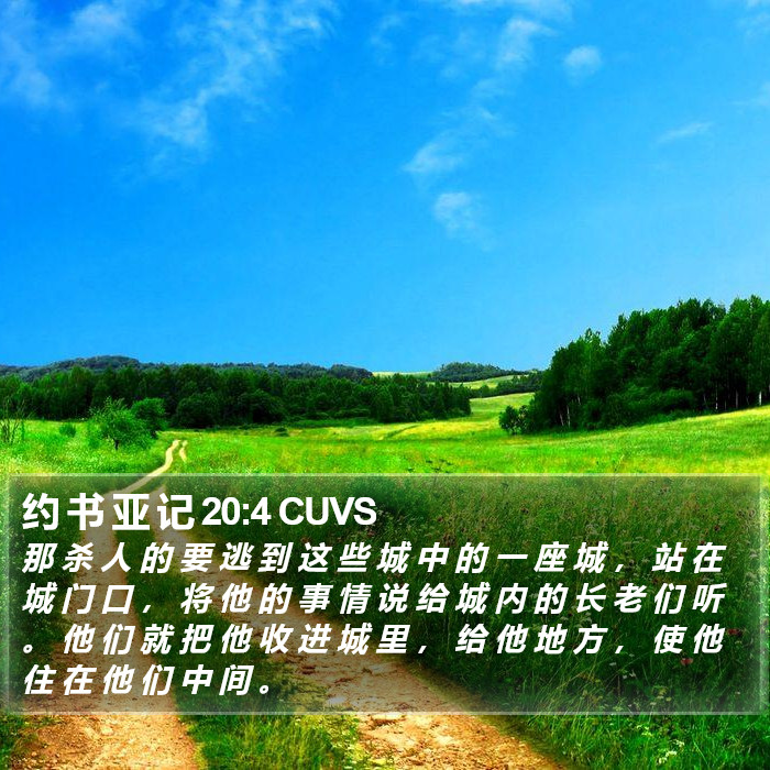 约 书 亚 记 20:4 CUVS Bible Study