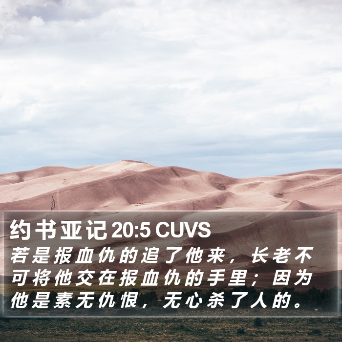 约 书 亚 记 20:5 CUVS Bible Study