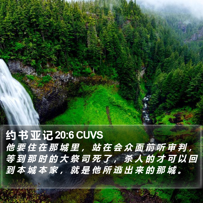 约 书 亚 记 20:6 CUVS Bible Study