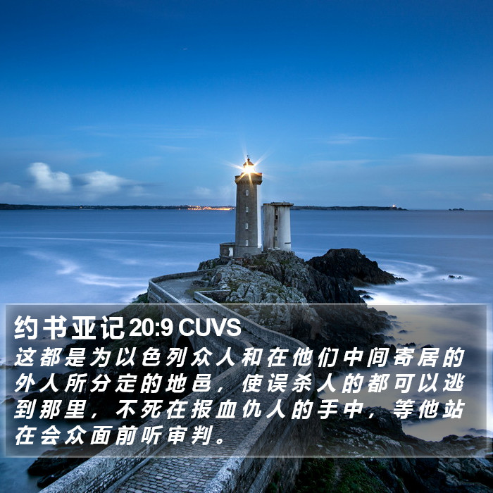 约 书 亚 记 20:9 CUVS Bible Study