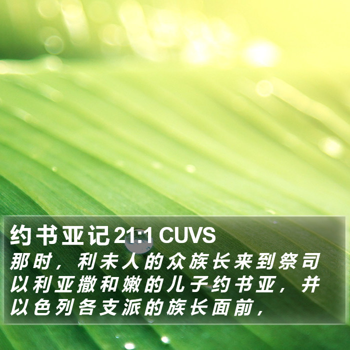 约 书 亚 记 21:1 CUVS Bible Study