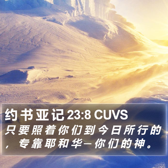 约 书 亚 记 23:8 CUVS Bible Study