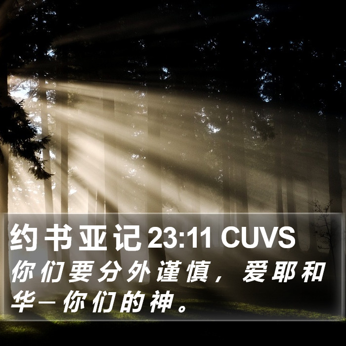 约 书 亚 记 23:11 CUVS Bible Study