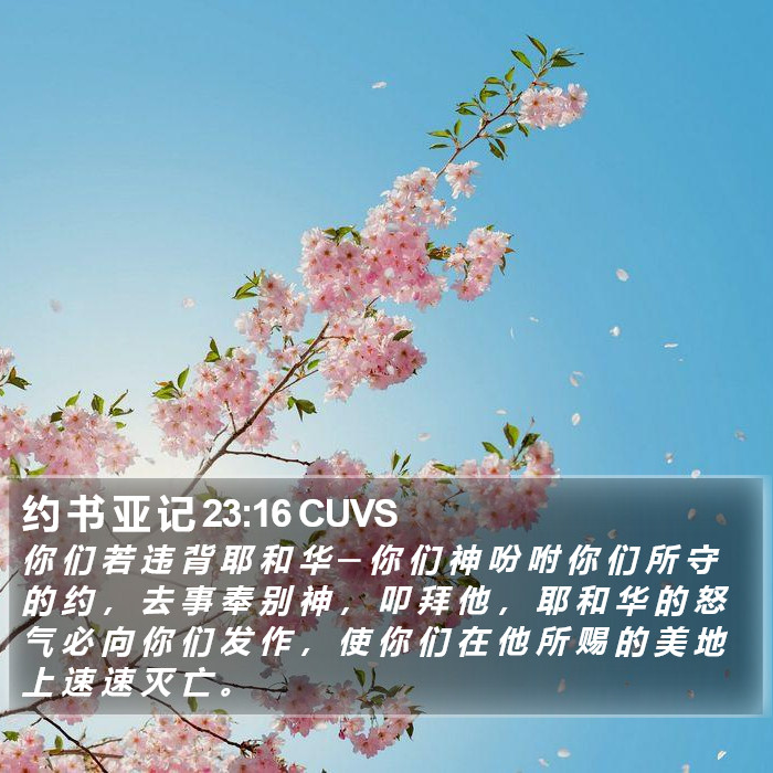 约 书 亚 记 23:16 CUVS Bible Study