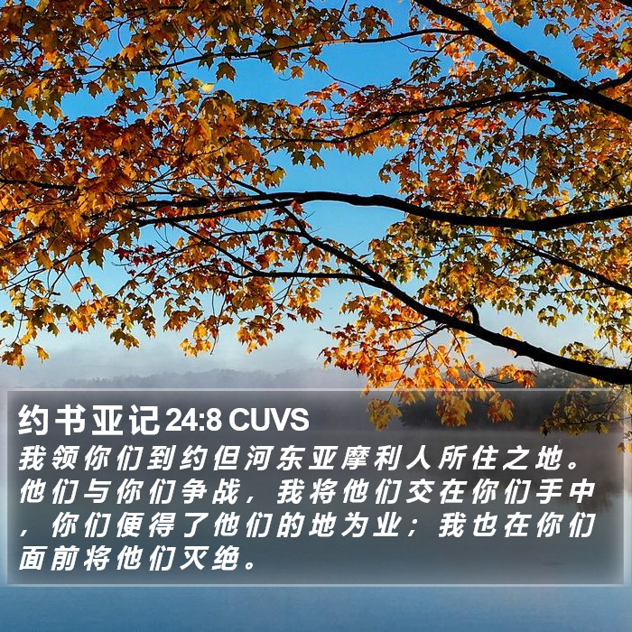 约 书 亚 记 24:8 CUVS Bible Study