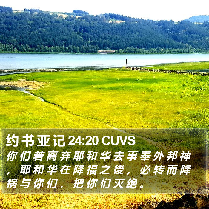 约 书 亚 记 24:20 CUVS Bible Study
