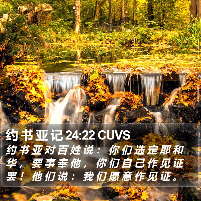 约 书 亚 记 24:22 CUVS Bible Study