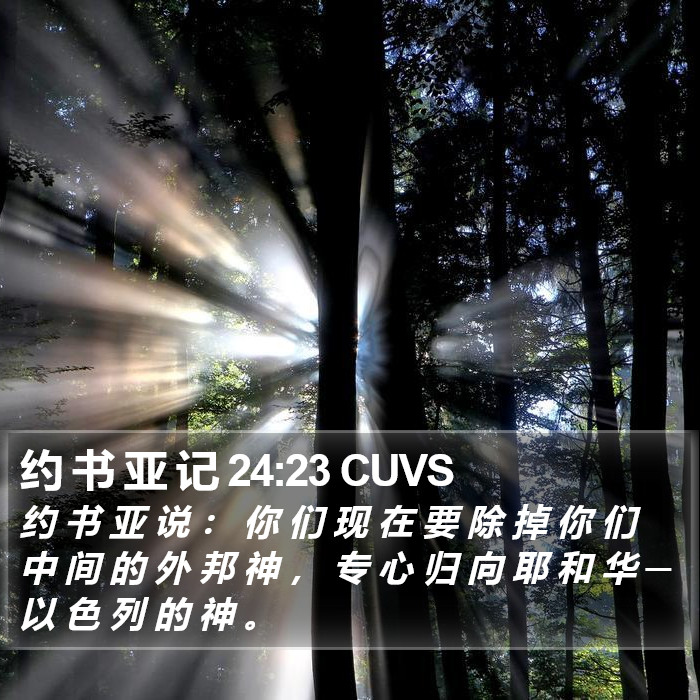 约 书 亚 记 24:23 CUVS Bible Study