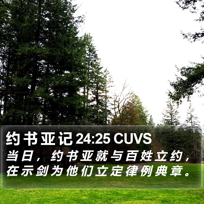 约 书 亚 记 24:25 CUVS Bible Study