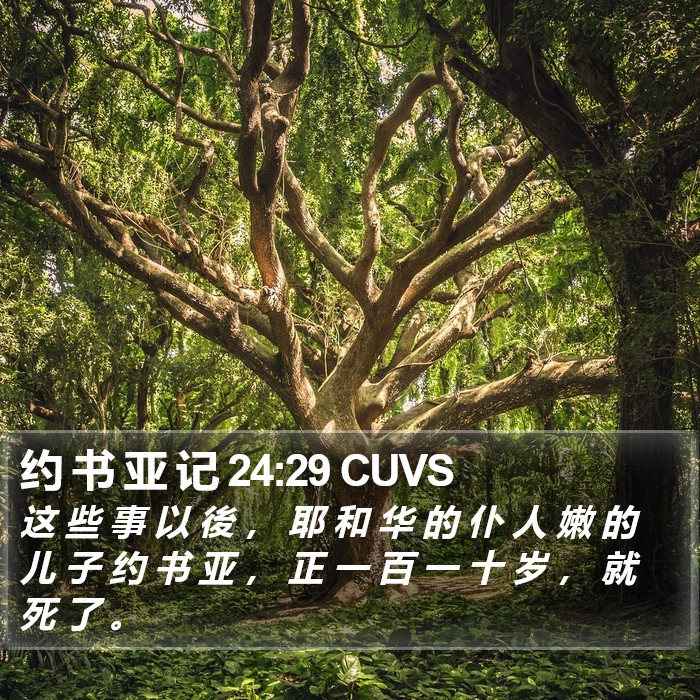 约 书 亚 记 24:29 CUVS Bible Study