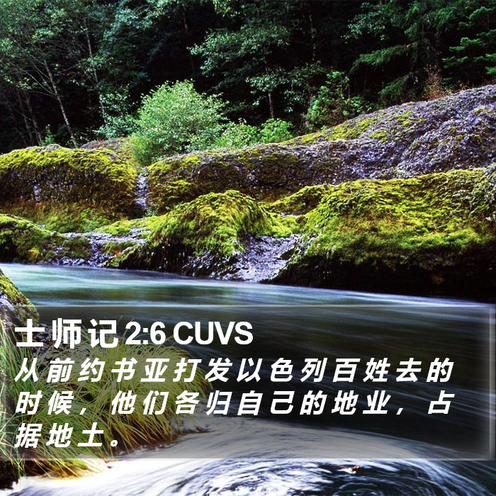 士 师 记 2:6 CUVS Bible Study