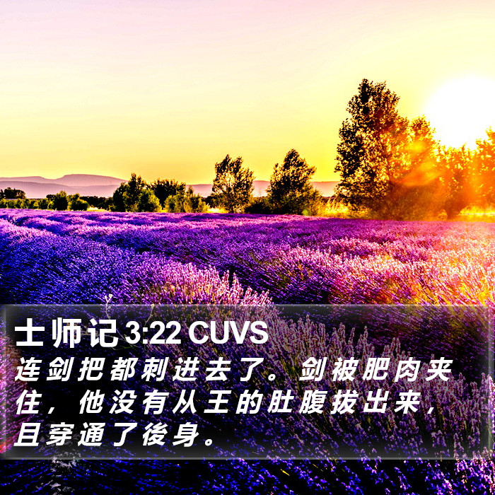 士 师 记 3:22 CUVS Bible Study