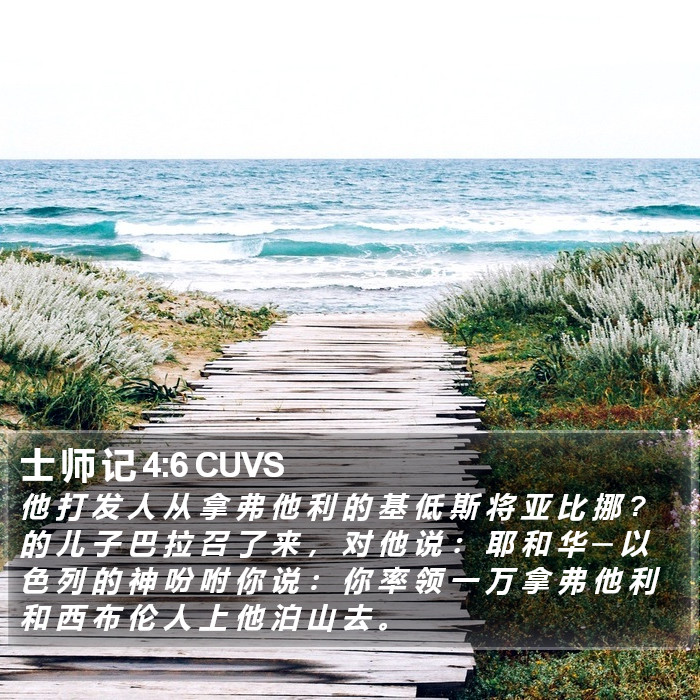 士 师 记 4:6 CUVS Bible Study